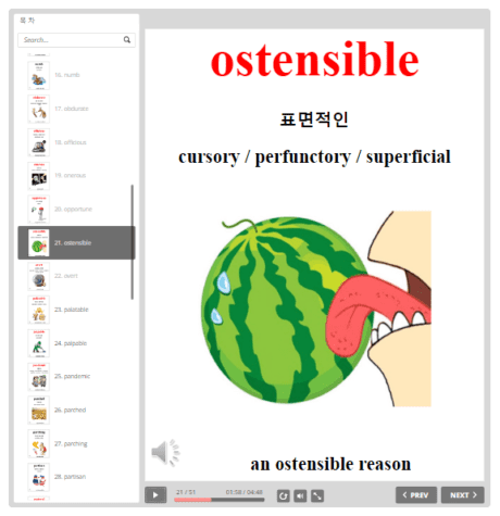 중급 공무원 영단어 ostensible