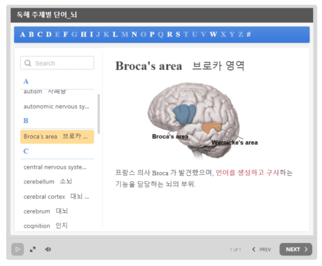 공무원영어 주제별단어 브로카 영역