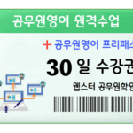 9급 공무원영어 과외 원격수업 30일 수강권