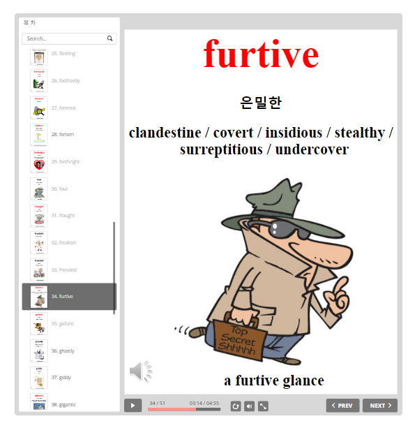중급 영단어 furtive